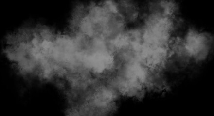 Smoke Fog or smoke color isolated background for effect, text or copyspace.