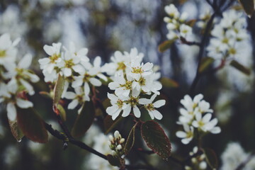 Processed with VSCO with f2 preset