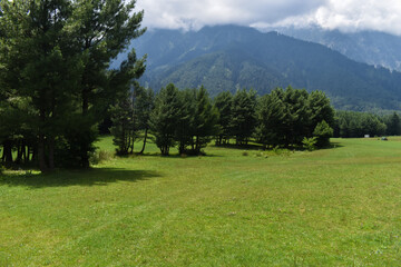 Fototapeta na wymiar A beautiful landscape view at Kashmir India