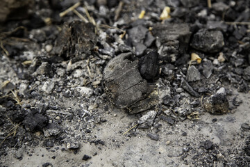 Charcoal on a barbecue