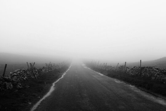 B&W Photo Of Froggy Country Road. UK