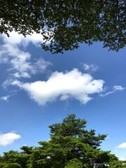 Obraz premium The sky is cloudy and there is a tree and building background.