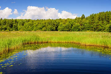 Beautiful summer seascape. The picturesque coast of the Gulf of Finland, Baltic sea, near Vysotsk town, Leningrad oblast, Russia