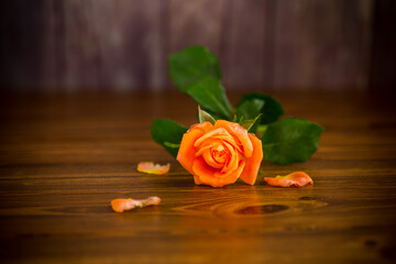 one beautiful orange rose on wooden table