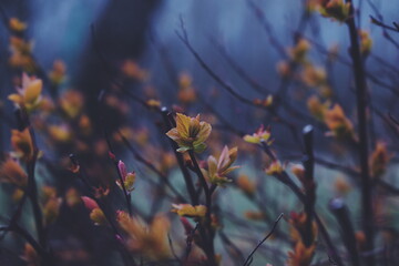 Processed with VSCO with f2 preset