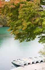 A boats tied to a wooden pier on the lake