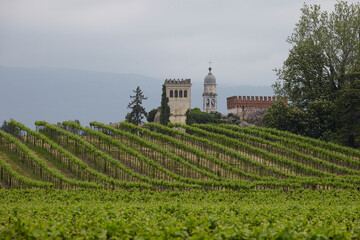 Fototapeta na wymiar revine; castle; cultivation; hill; cloudy; wine; vineyard; prosecco; italy; treviso; belltower; church; green