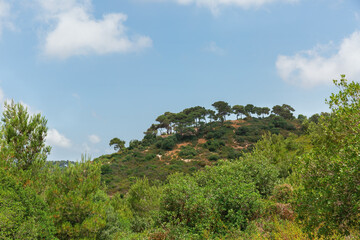 Fototapeta na wymiar Beautiful view of Mount Carmel against the blue sky