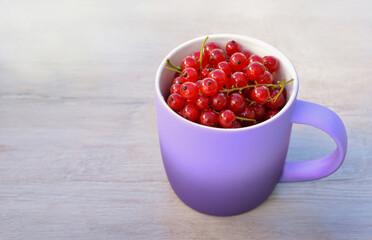 Purple cup with red currants on wooden background
