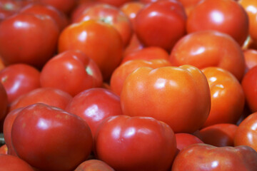  A beautiful red tomato in a large pile of other tomatoes.