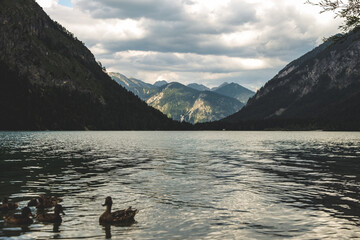 lake and mountains