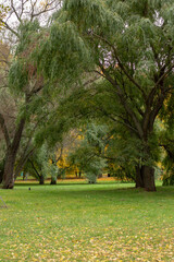 park in autumn