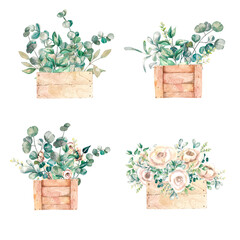 Watercolor illustration.