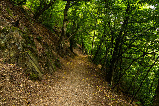 The Thuringian landscape is like a painting that would make even Bob Ross jealous &ndash; with more greenery than in a salad buffet