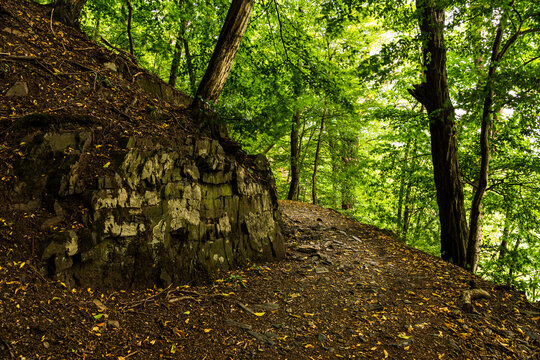 The Thuringian landscape is like a painting that would make even Bob Ross jealous &ndash; with more greenery than in a salad buffet