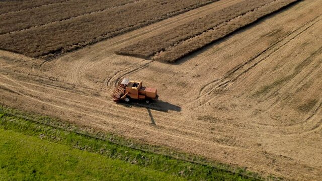 combine harvester working on a large field of rapeseed. Agriculture and biofuel production. Drone aerial view