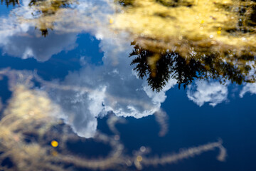 Reflection in Water