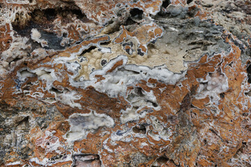 Texture of coral limestone rock for abstract backgruond