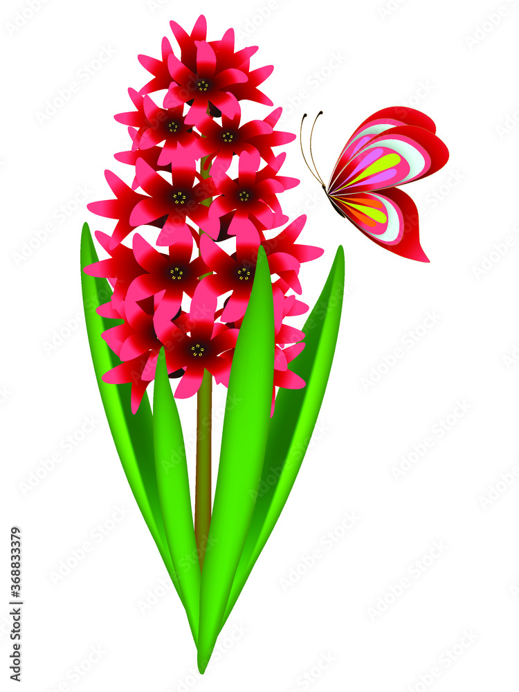 Wall mural red hyacinth with butterfly isolated on white background.