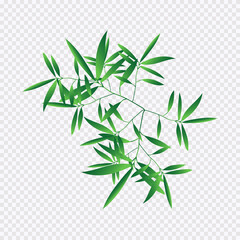 Green Leave In The Hand Isolated On Transparant Background Vector illustration.