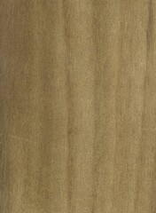 Wood tree exotic pattern asia samples natural