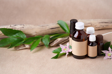 Natural organic cosmetic skincare packaging mock up with leaves and flowers, Eco-friendly bio science beauty concept. Bottle for branding and label, wellbeing self-care focuse, copy space