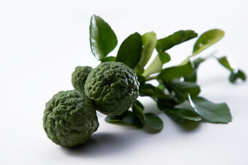 Close up of Kaffir Lime with leaves