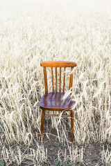 the chair is in the field. wheat grows in the background. invitation to take photos