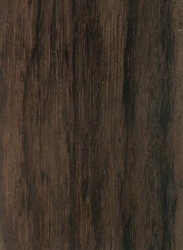 Wood tree exotic pattern asia samples natural