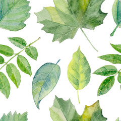 Seamless pattern  foliage natural branches, green leaves, herbs, hand drawn watercolor.