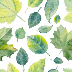 Seamless pattern foliage natural branches, green leaves.
