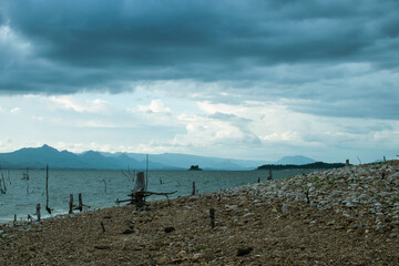 The dead trees and the evening scenery provide a quiet atmosphere.