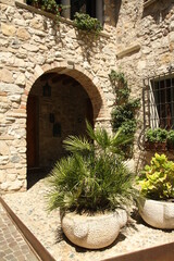 Fototapeta na wymiar Medieval italian entrance garden with plants and stone arch wall