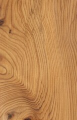 yew Wood tree pattern samples natural rural timber