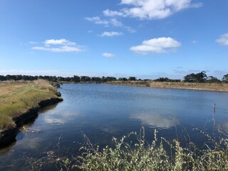 Marais salants de l’Île de Ré