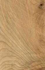 Naklejka premium juniper Wood tree pattern samples natural rural timber