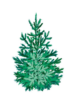 Christmas tree