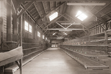 STOK: York fairgrounds, Guinea Pig cages, PA
