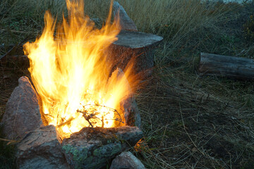 Small campfire in woods surrounded by stones.