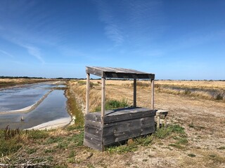 Marais salants de l’Île de Ré