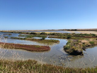 Marais salants de l’Île de Ré