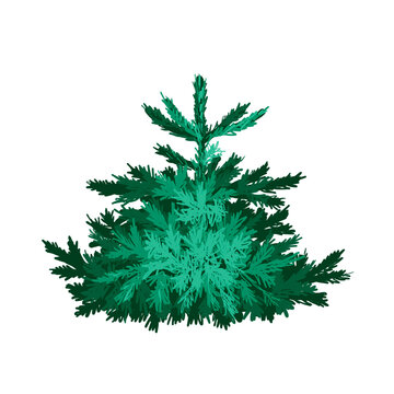 Christmas tree