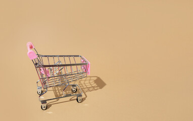 Shopping cart and online shopping during quarantine