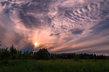 Colorful evening sky with clouds over the forest.