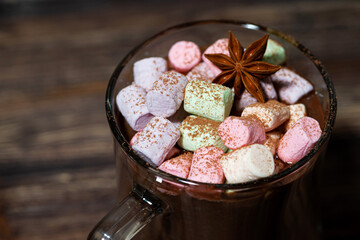 cup of hot chocolate with marshmallows, closeup