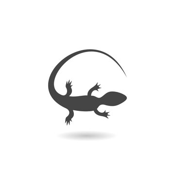 Gecko Tattoo, Lizard Reptile icon with shadow