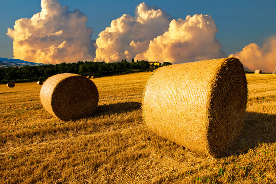 Hay bales in a meadow in a summer evening sunset