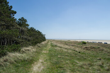 Fototapeta premium Danish Beach and Forest Landscape Scenery