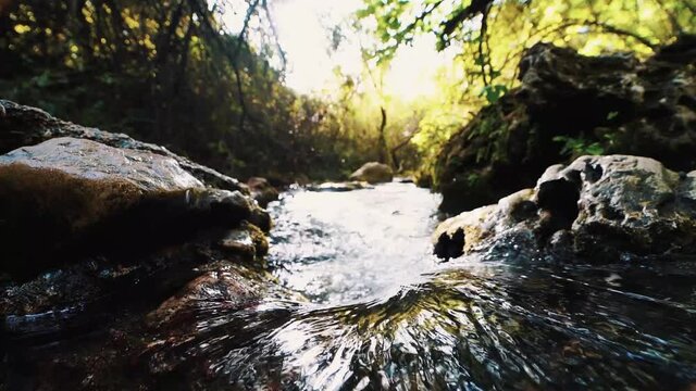  tranquilidad verde sendero naturaleza ramas paseo vacaciones frondoso piedras rural bosque agua rio