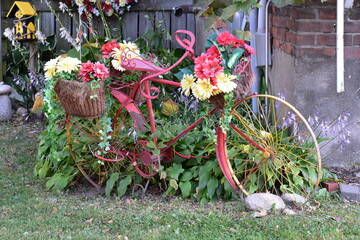 Flower Bike